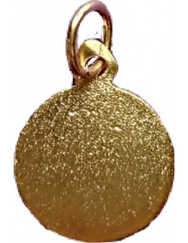 Medalla de Oro pequeña de la Virgen del Plu de...