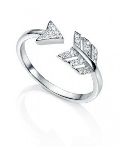 Anillo flecha